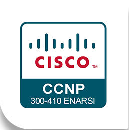 Implementing Cisco Enterprise Advanced Routing and Services (ENARSI)